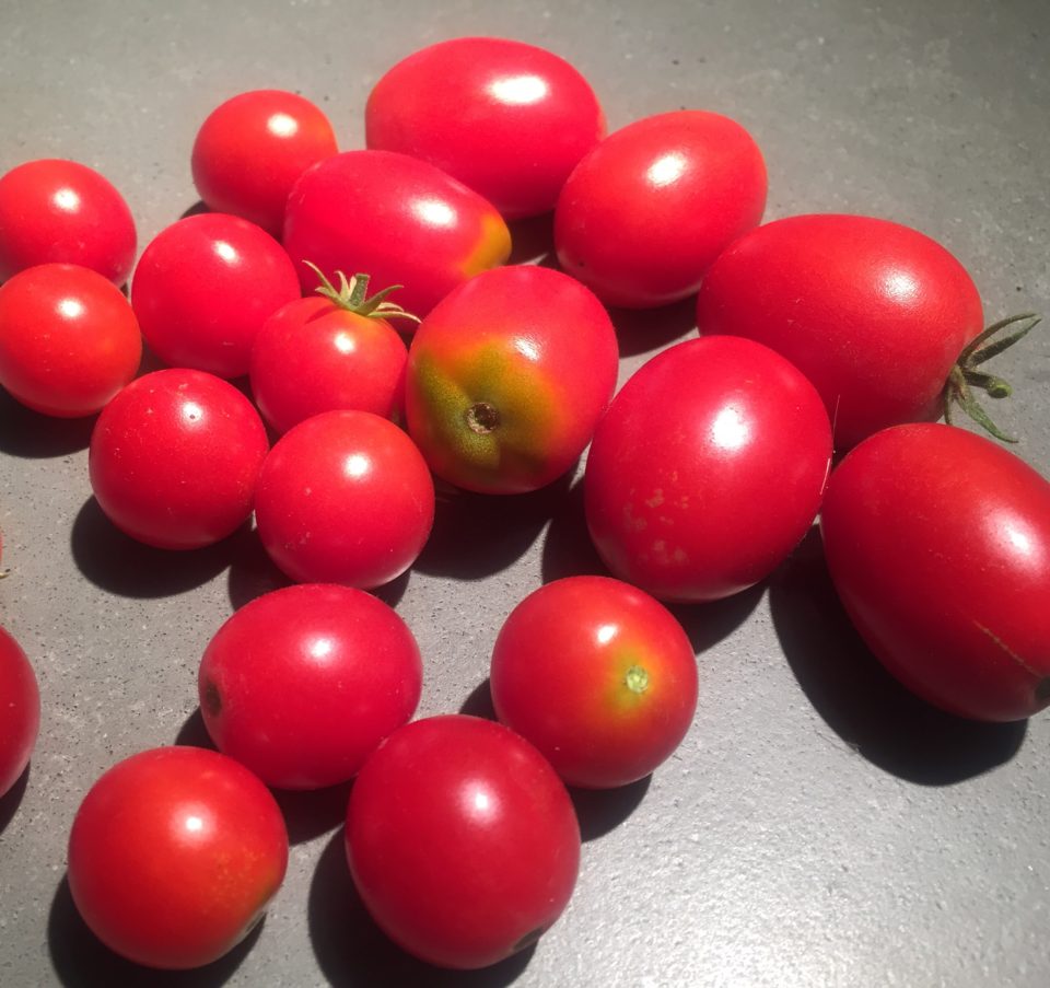 https://karissapwellness.com/2016/08/undone-deconstructed-bell-peppers/