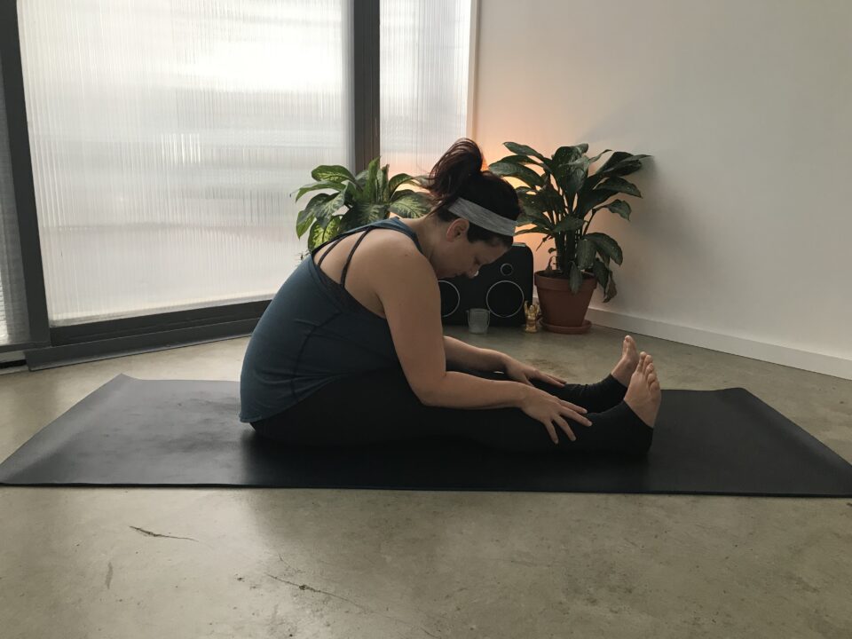https://karissapwellness.com/working-through-limitations/