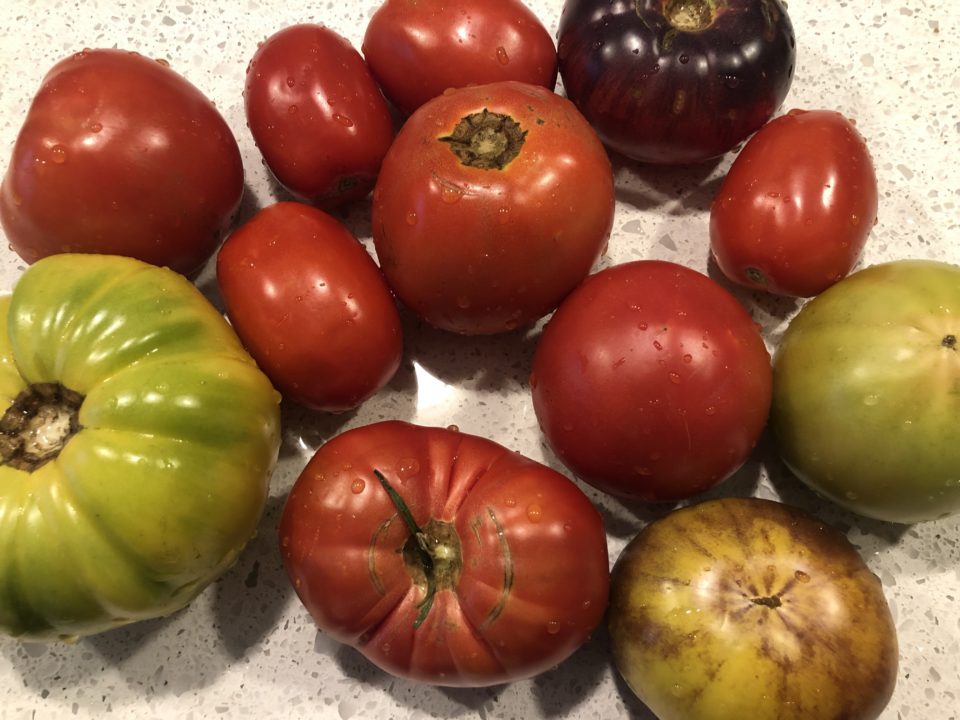 LOUFPhmbTaChchINxCEVYA E1569687637172 960x720