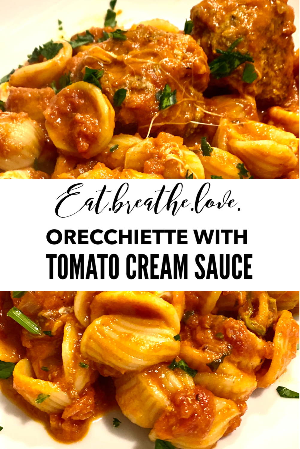 Orecchiette with Tomato Cream Sauce Orecchiette with Tomato Cream Sauce