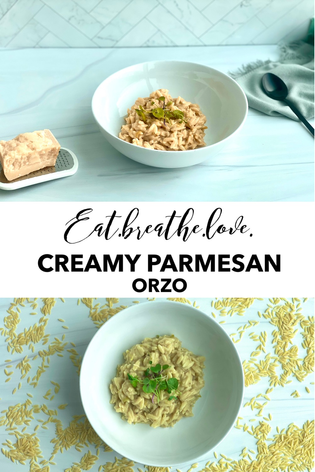 Image of orzo pasta in a dish