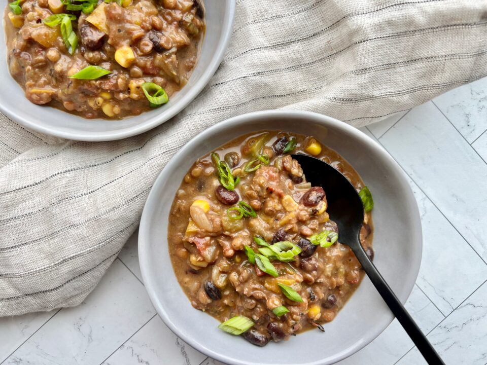 Vegetarian Taco Soup IMG 6639 960x720